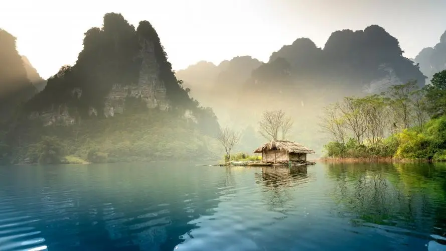 高效独特